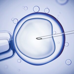 Fecundación in vitro ICSI Fecundación in vitro FIV ICSI