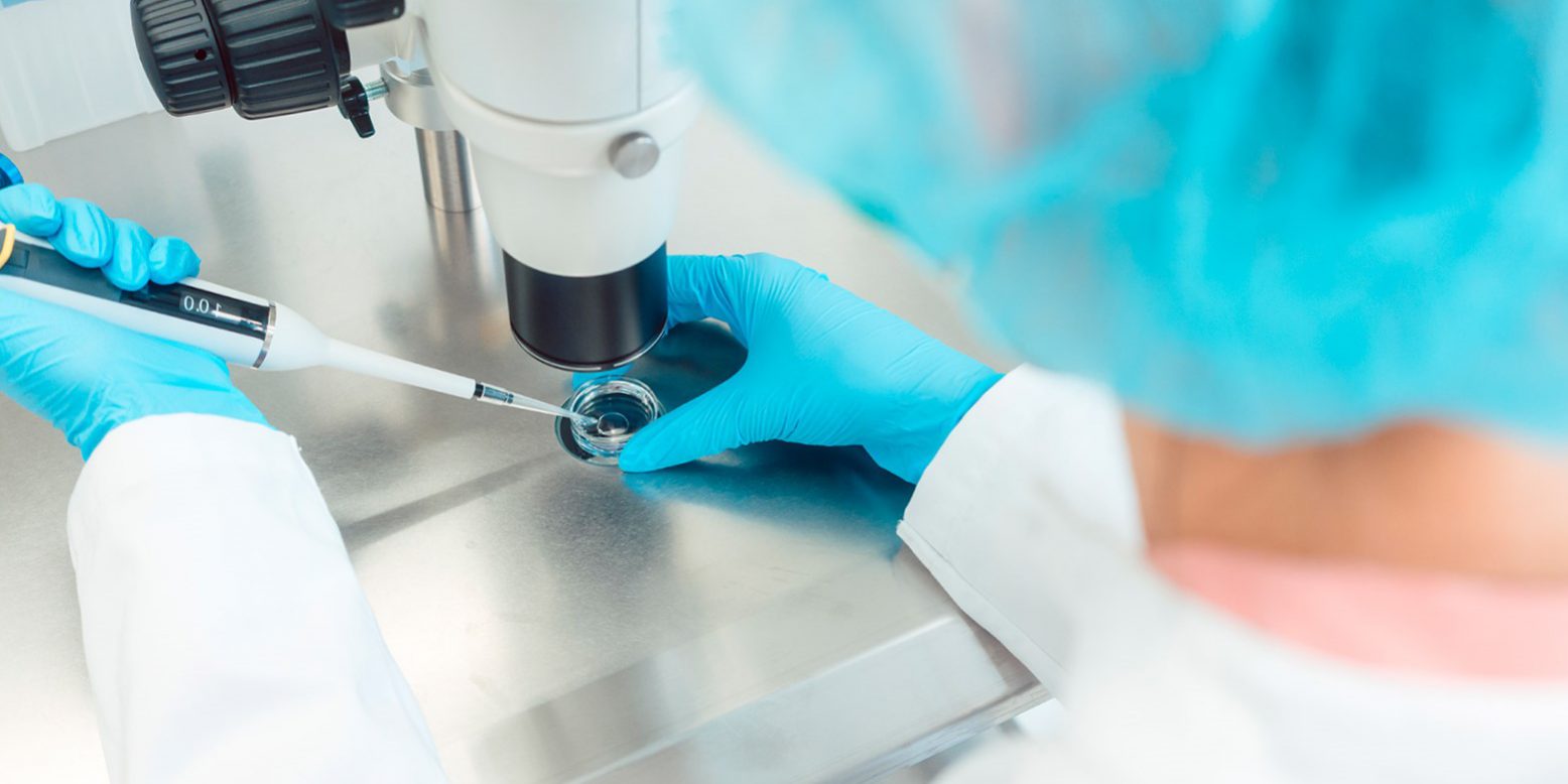 diagnóstico genético preimplantacional en España - microscopio