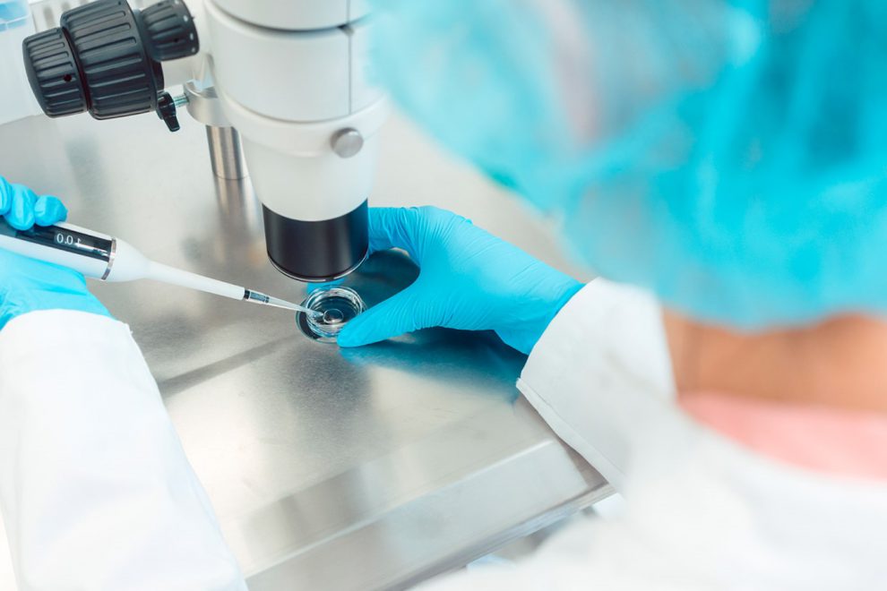 diagnóstico genético preimplantacional en España – microscopio diagnóstico genético preimplantacional en España - microscopio