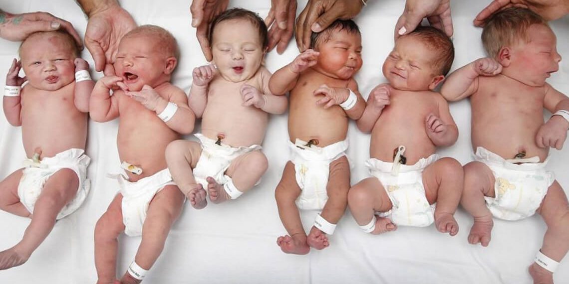 tasas de embarazo tasas de embarazo