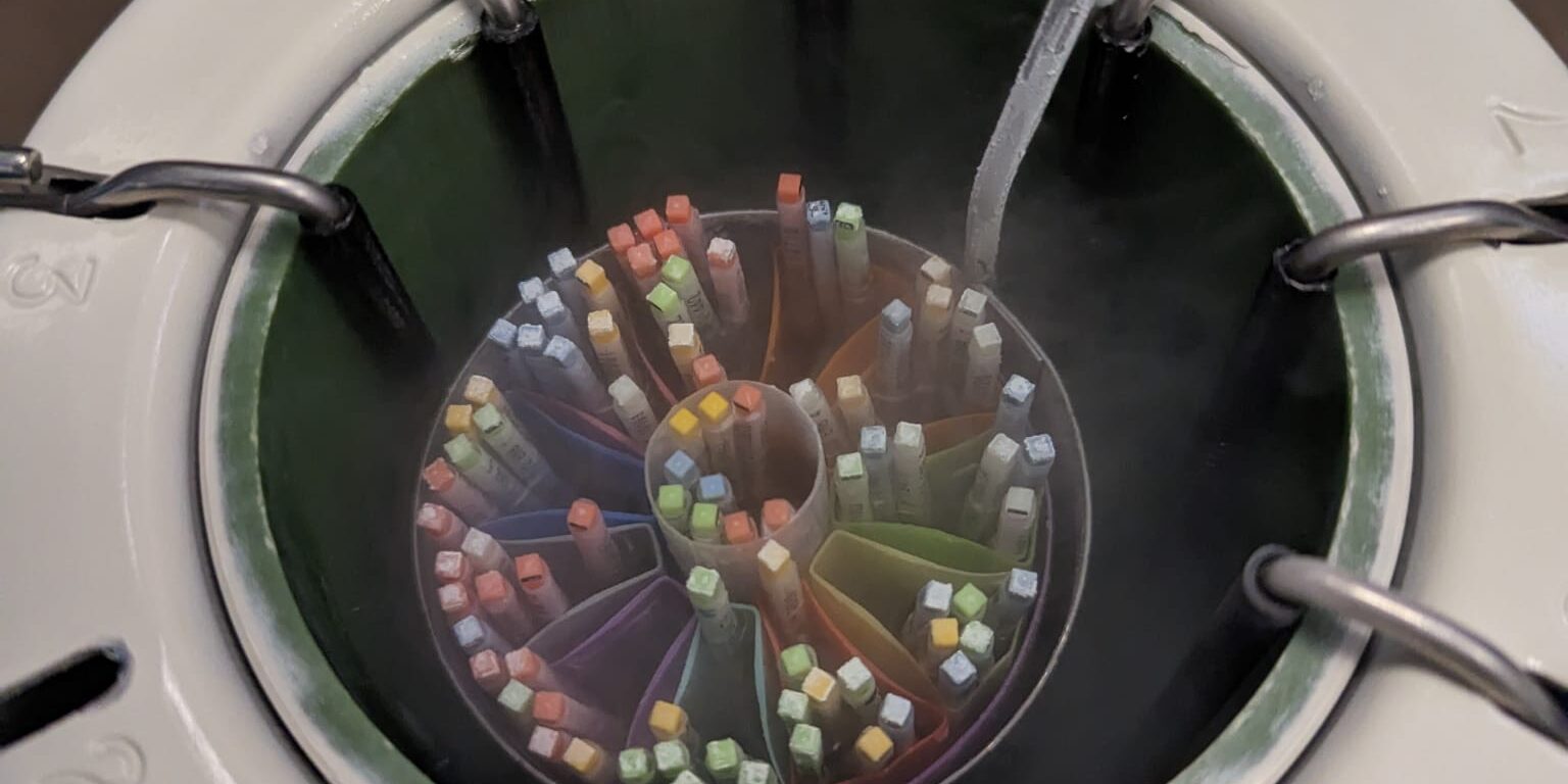 5e03359e-83b3-49b7-9922-337a1c21e023