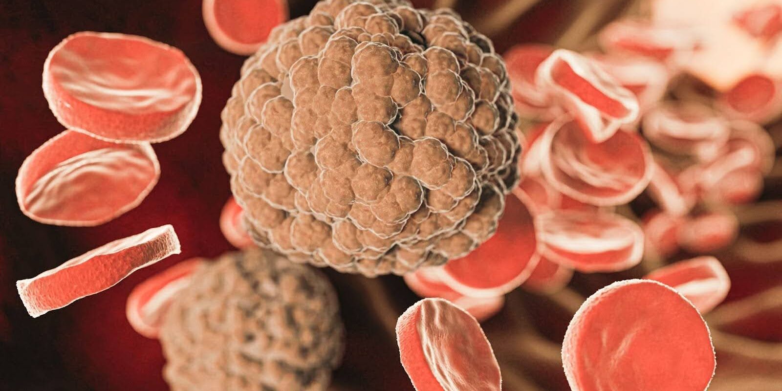 unnamed imagen simulando vaso sanguíneo