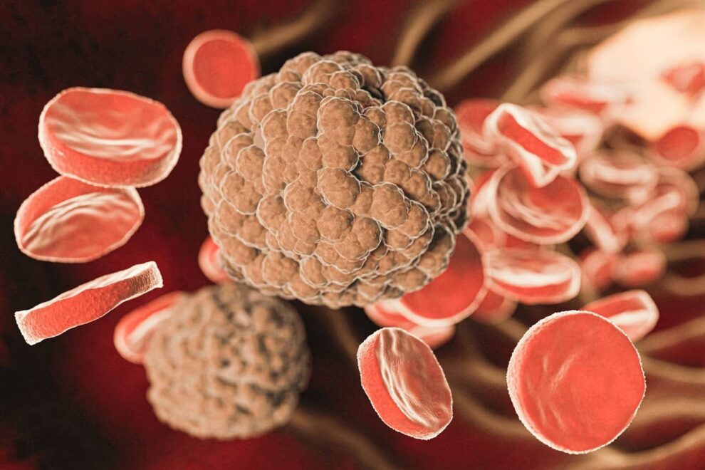 imagen simulando vaso sanguíneo